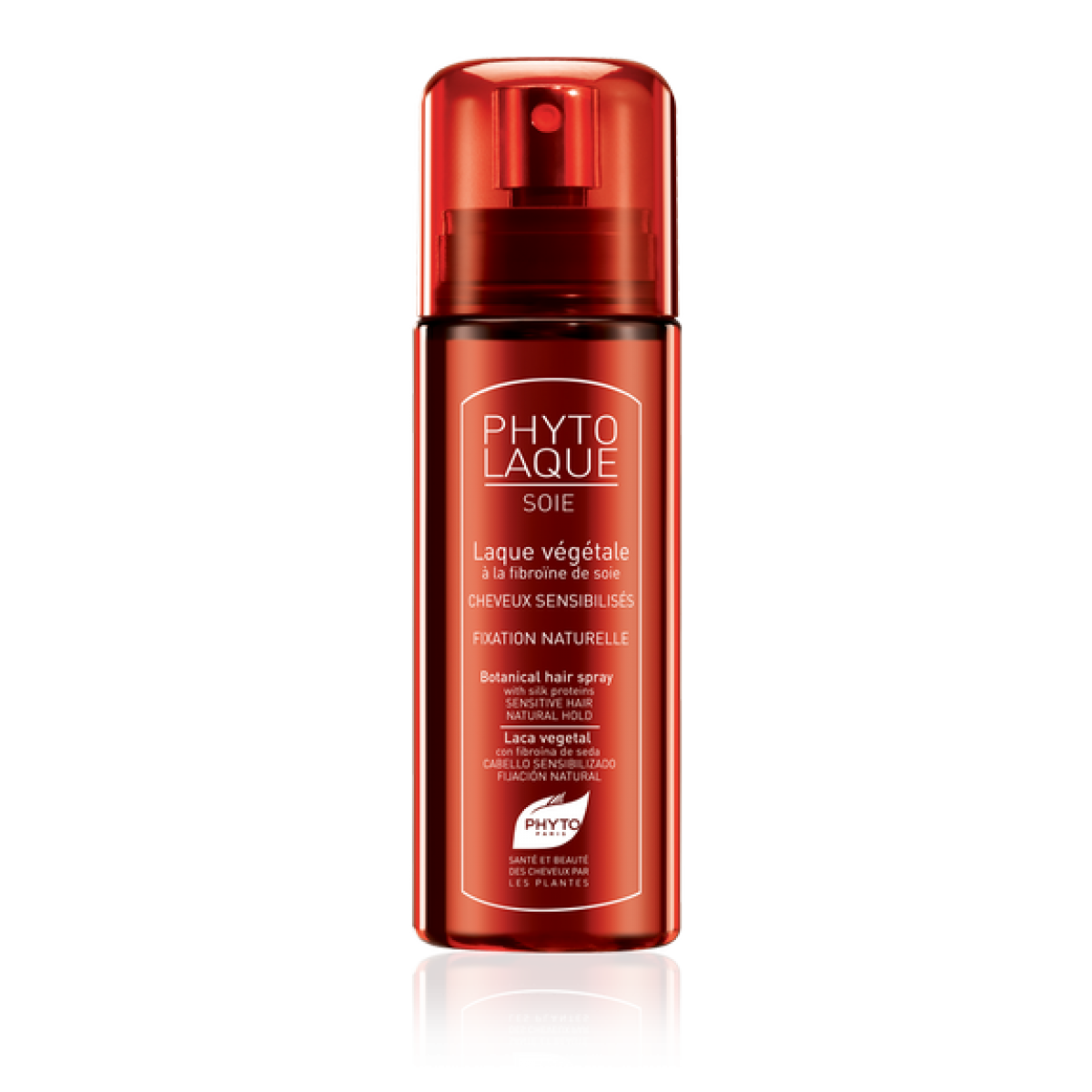 PHYTOLAQUE-seda-laca-vegetal-con-fibroina-de-seda-fijadores-Reparacion-reflexion